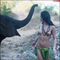 BONE ELEPHANT Â©_23-XeF8kArkOLo3wW7QQSfcpkihb3MzmYJc.jpg